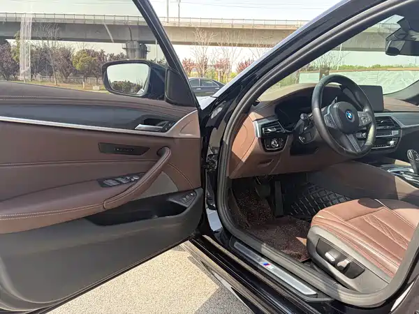 BMW 5 Series New Energy 2022