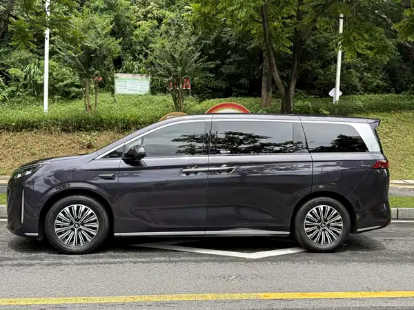 BYD Summer 2025