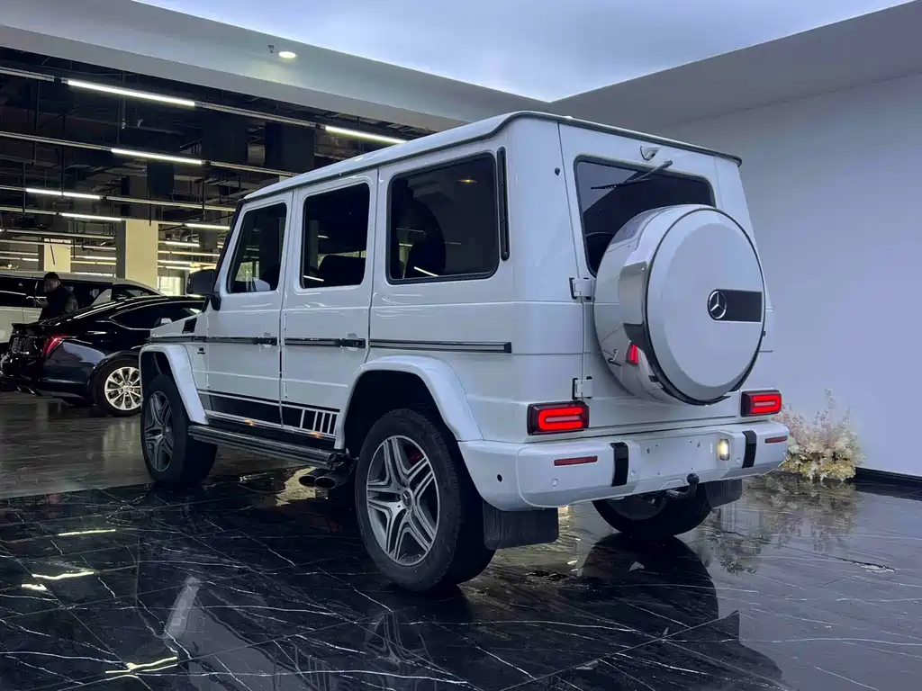Mercedes-Benz G-Class 2015 — фото 18