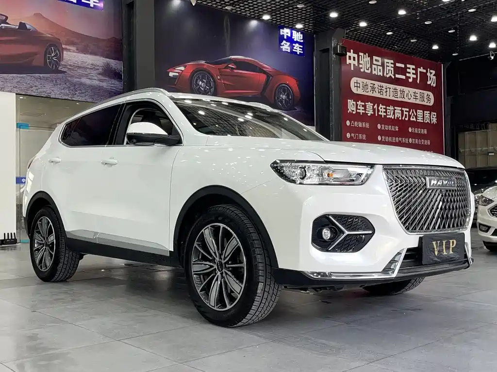 Haval H6 2021 — фото 9