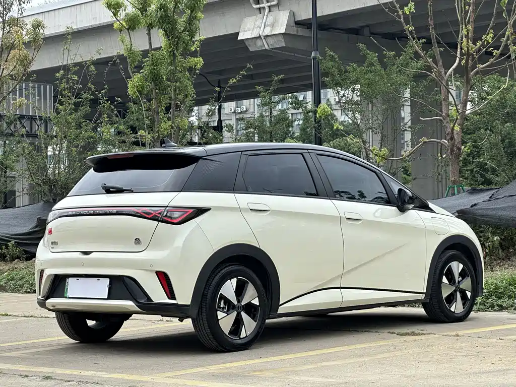 BYD Dolphin 2023 — фото 6
