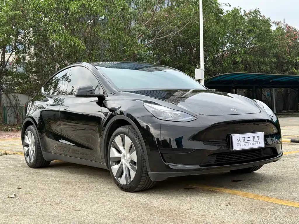 Tesla Model Y 2023 — фото 4