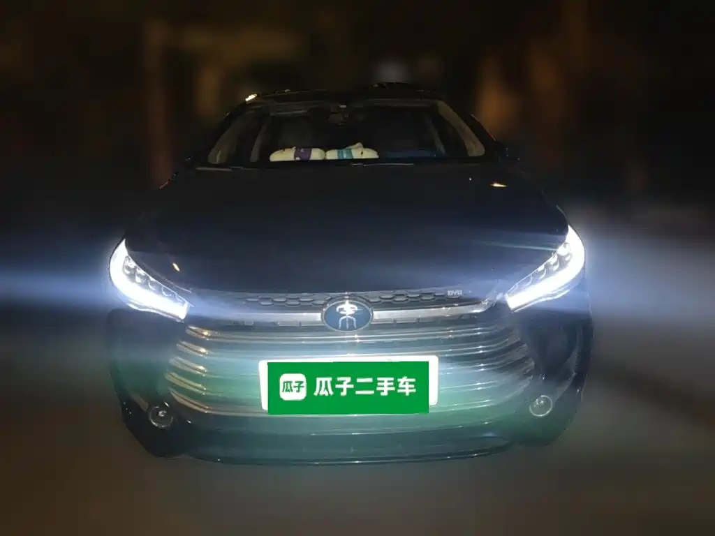 BYD Song MAX New Energy 2020 — фото 23