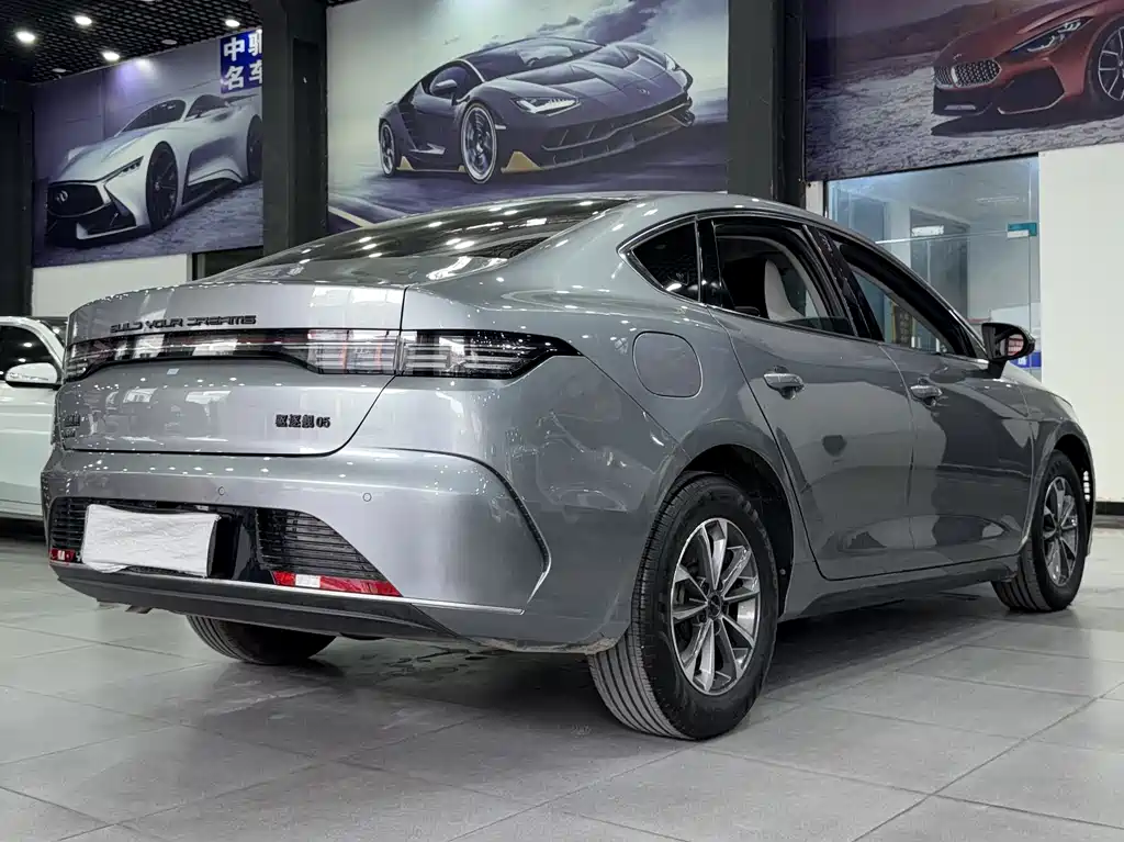 BYD Destroyer 05 2024 — фото 19