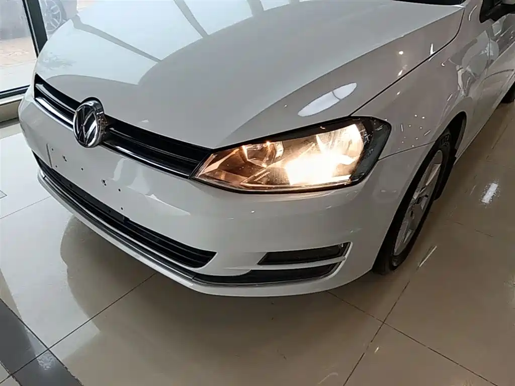 Volkswagen Golf 2015 — фото 24
