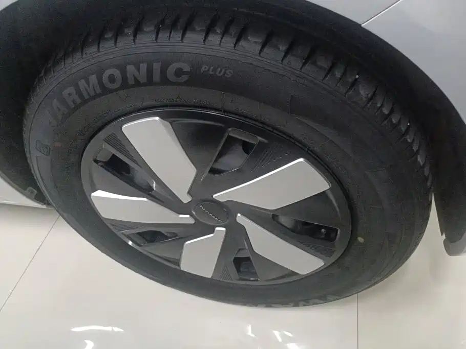 Dongfeng Nano 01 2024