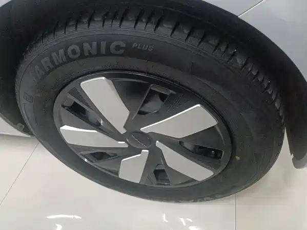 Dongfeng Nano 01 2024