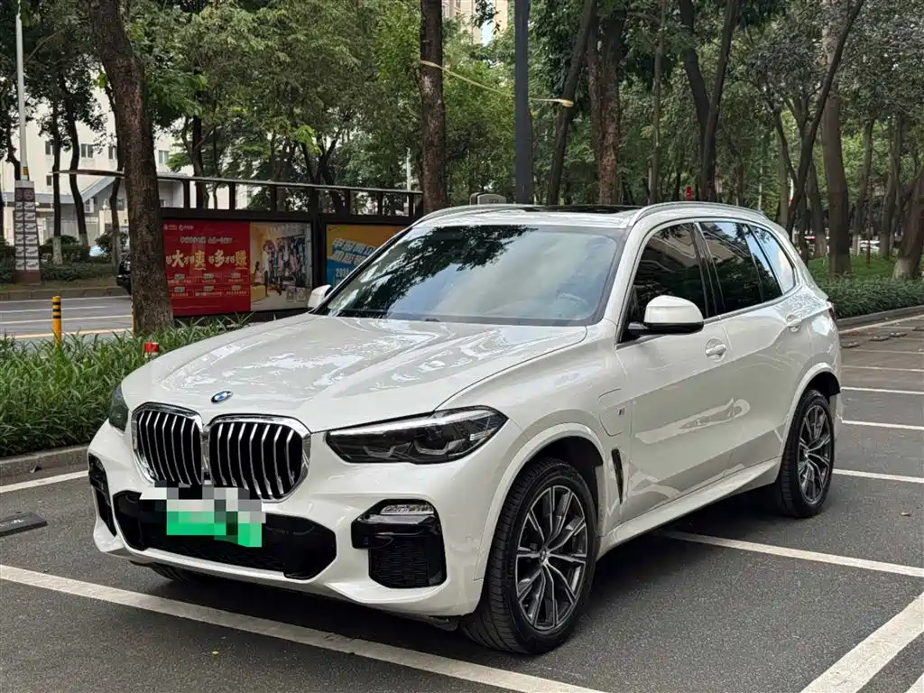 BMW X5 New Energy 2020 — фото 1