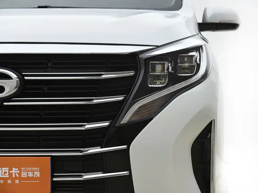 GAC Motor Trumpchi M8 2024 — фото 12