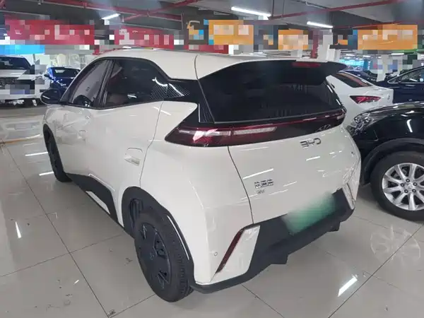 BYD Seagull 2024