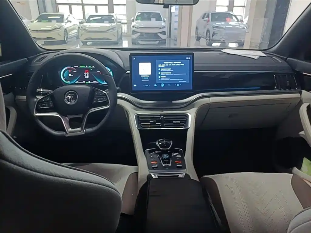 BYD PLUS New Energy 2022 — фото 10