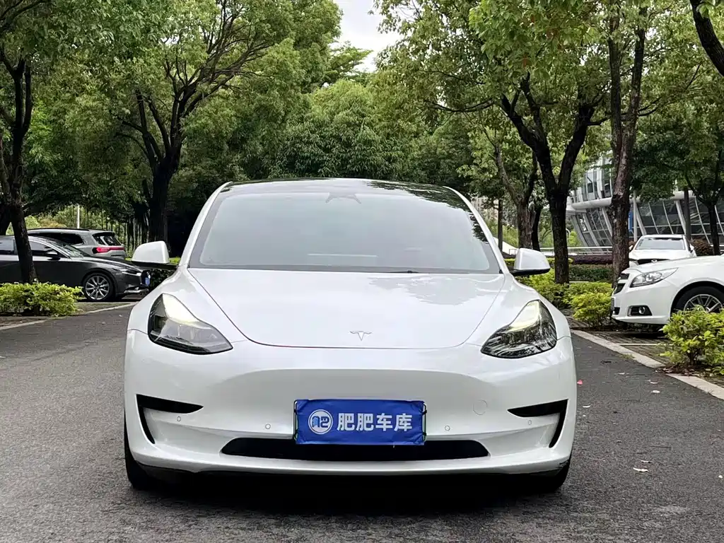 Tesla Model 3 2022 — фото 2