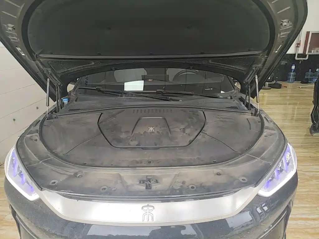 BYD Song PLUS New Energy 2022 — фото 20