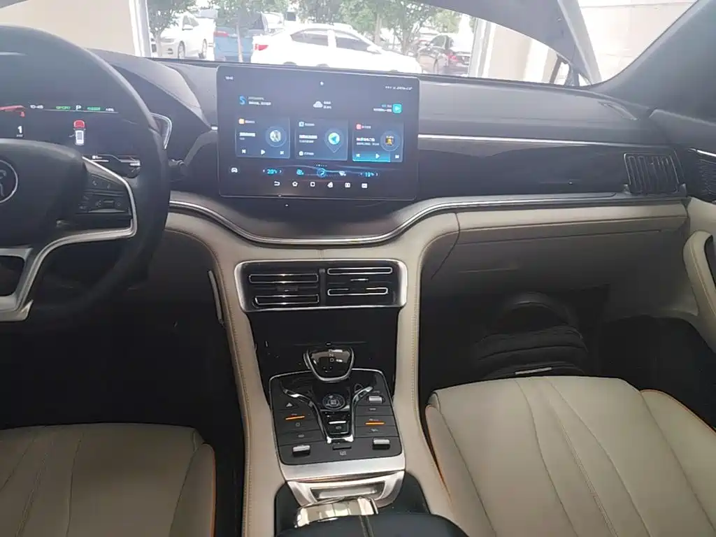 BYD Song PLUS New Energy 2022 — фото 13