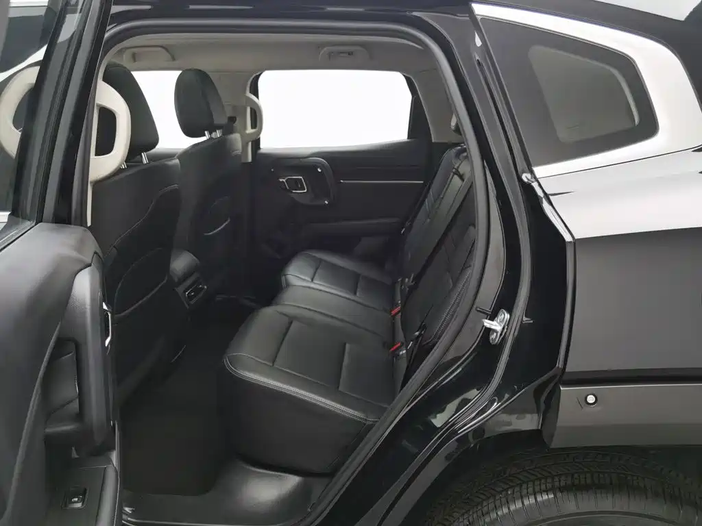 Haval Dog PLUS 2023 — фото 15