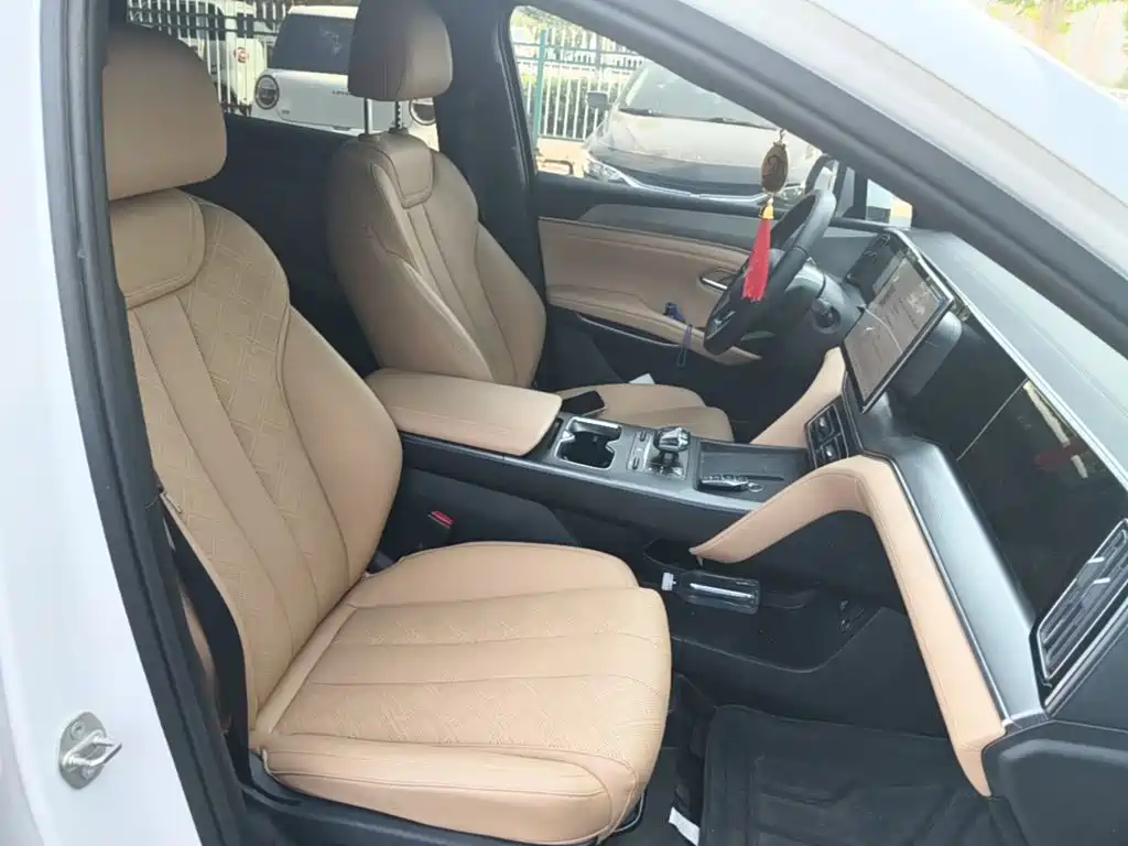 BYD L DM-i 2024 — фото 25