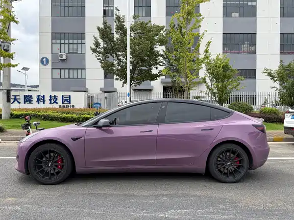 Tesla Model 3 2019