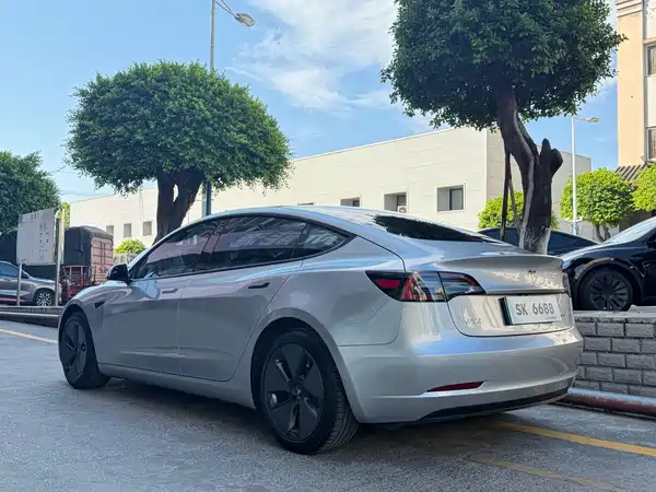 Tesla Model 3 2021