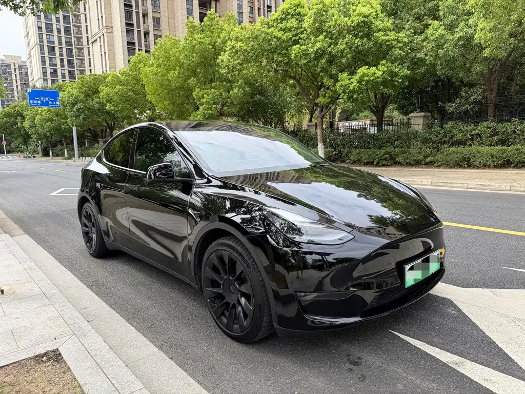 Tesla Model Y 2021 — фото 3