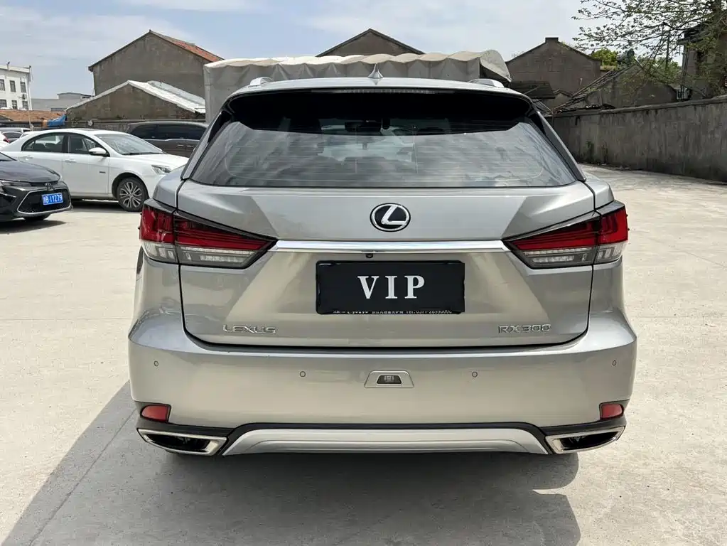 Lexus RX 2020 — фото 16