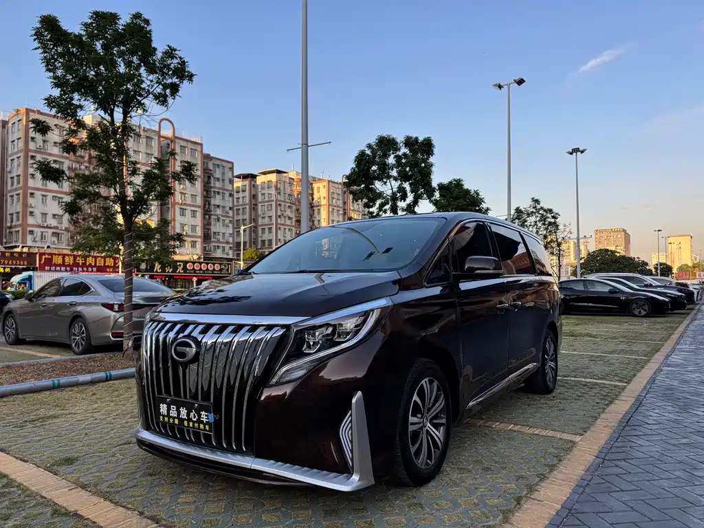 GAC Motor Trumpchi M8 2019 — фото 1