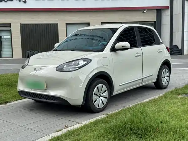 Wuling Bingo 2024