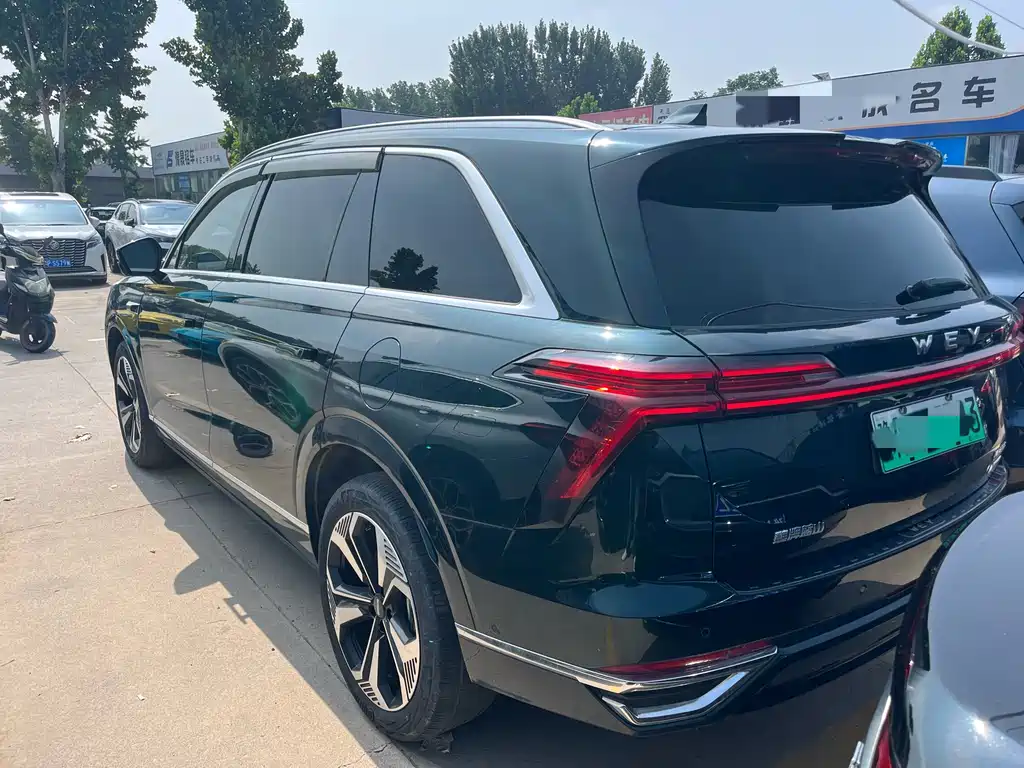 Wey Lanshan 2024