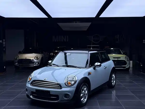 MINI 2013