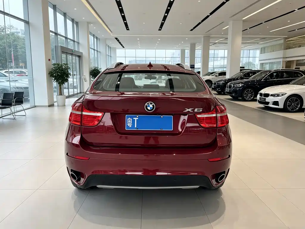 BMW X6 2012