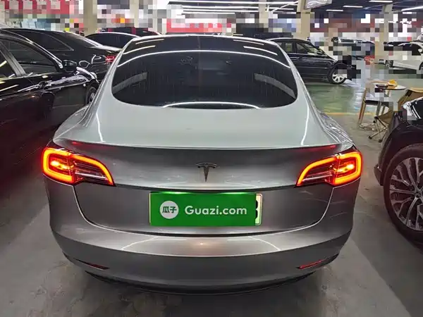 Tesla Model 3 2019
