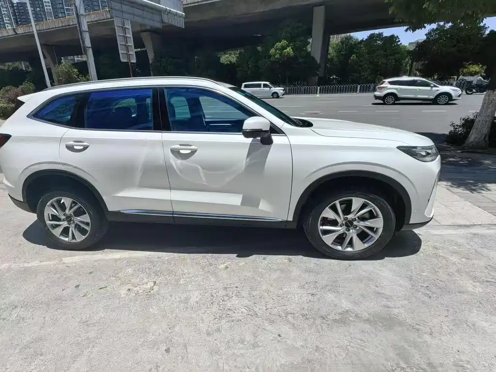 Haval H6 2021 — фото 11
