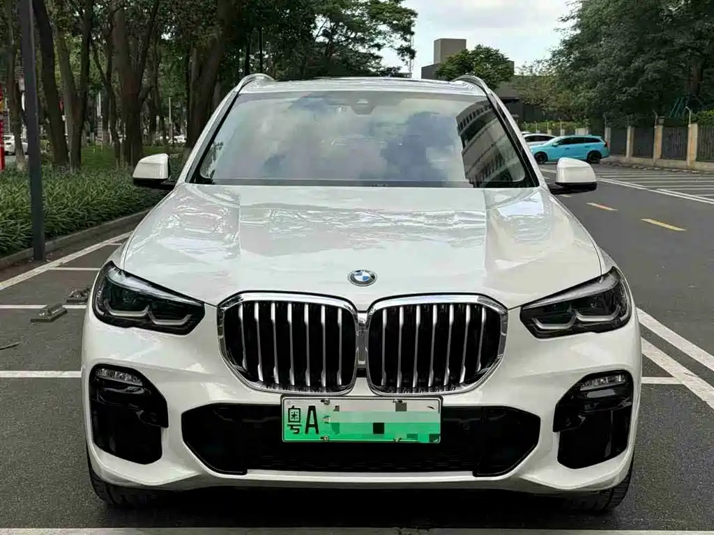 BMW X5 New Energy 2020 — фото 3