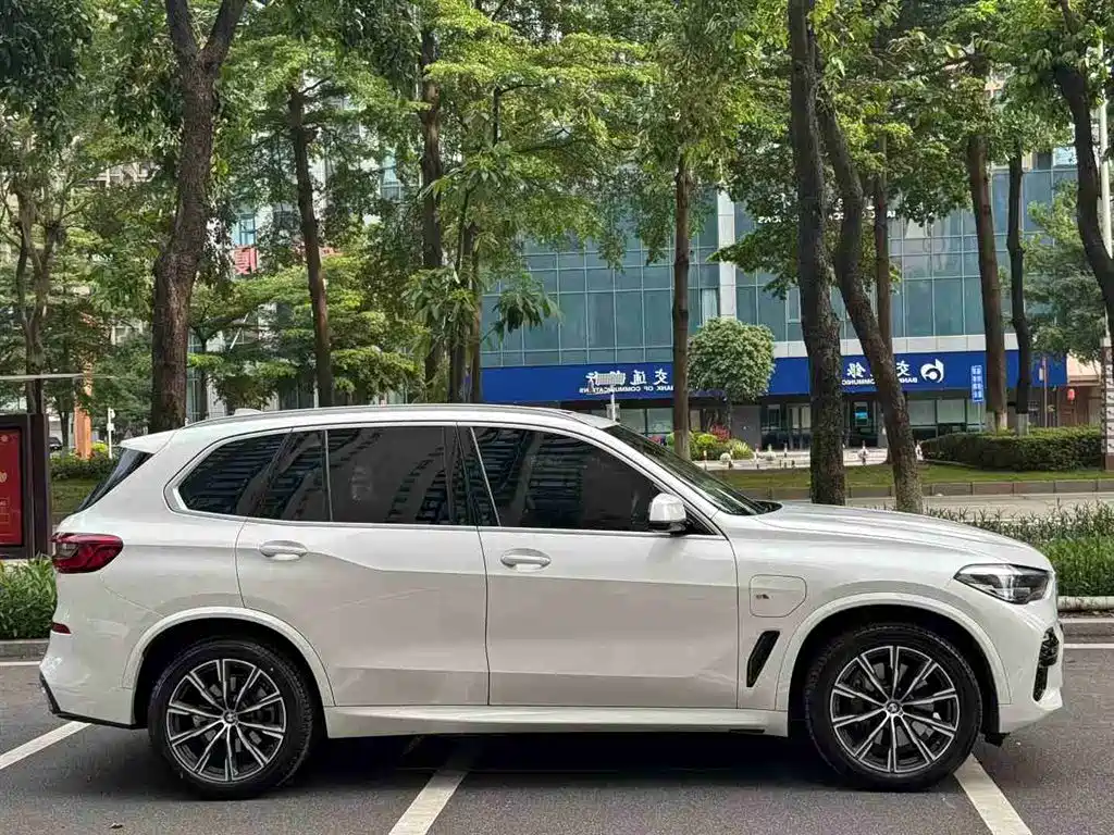 BMW X5 New Energy 2020 — фото 4