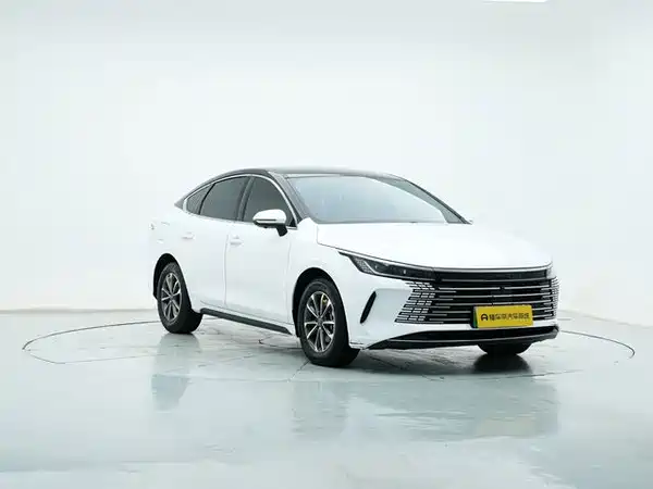 BYD Destroyer 05 2024