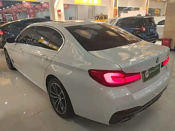 BMW 5 Series New Energy 2022