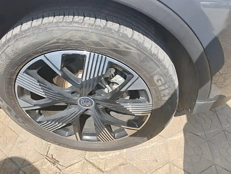 BYD Tang New Energy 2024