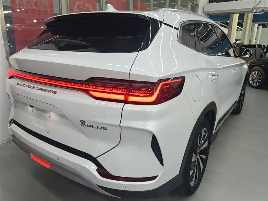 BYD PLUS New Energy 2024 — фото 7