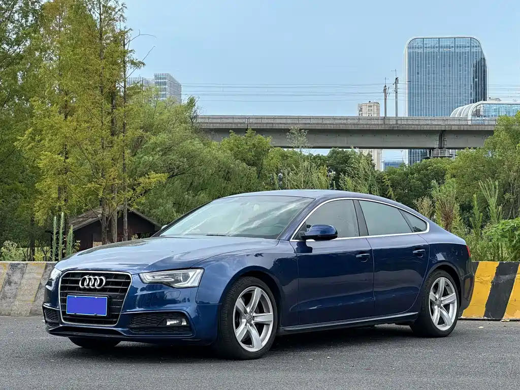 Audi A5 2013 — фото 1