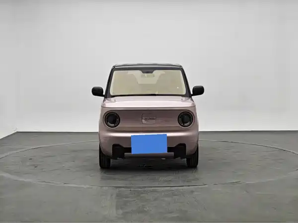 Geely Galaxy Panda 2024