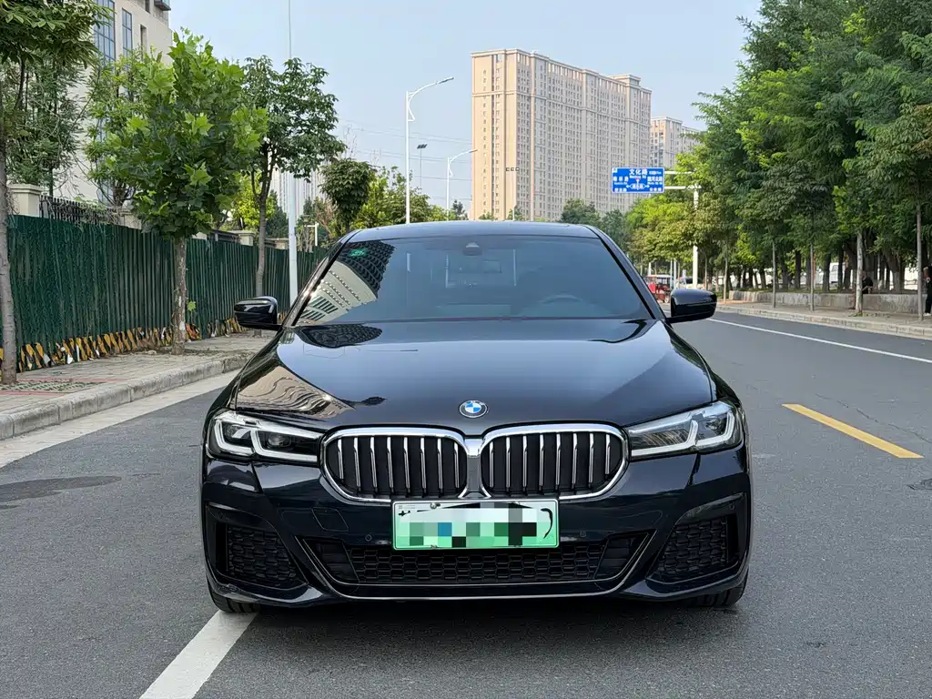 BMW 5 Series New Energy 2021