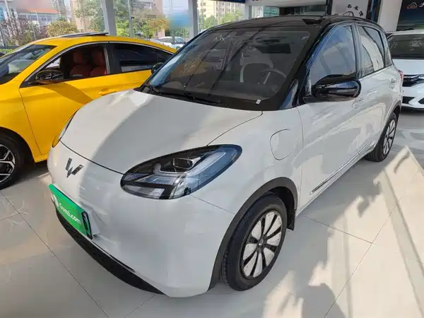 Wuling Bingo 2024