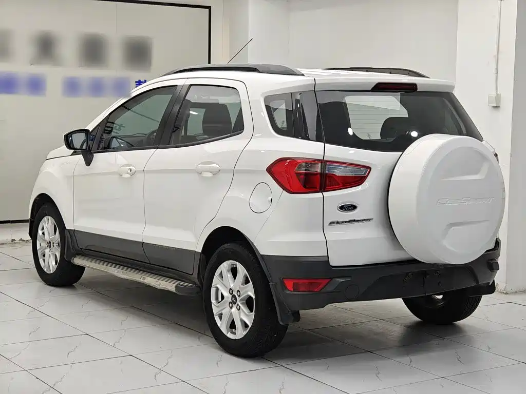 Ford EcoSport 2014 — фото 22