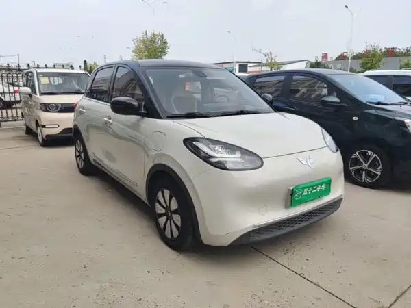 Wuling Bingo 2023