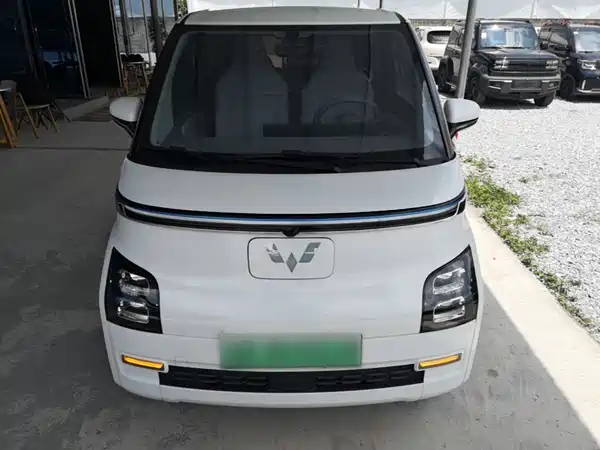 Wuling Air ev Clear Sky 2023