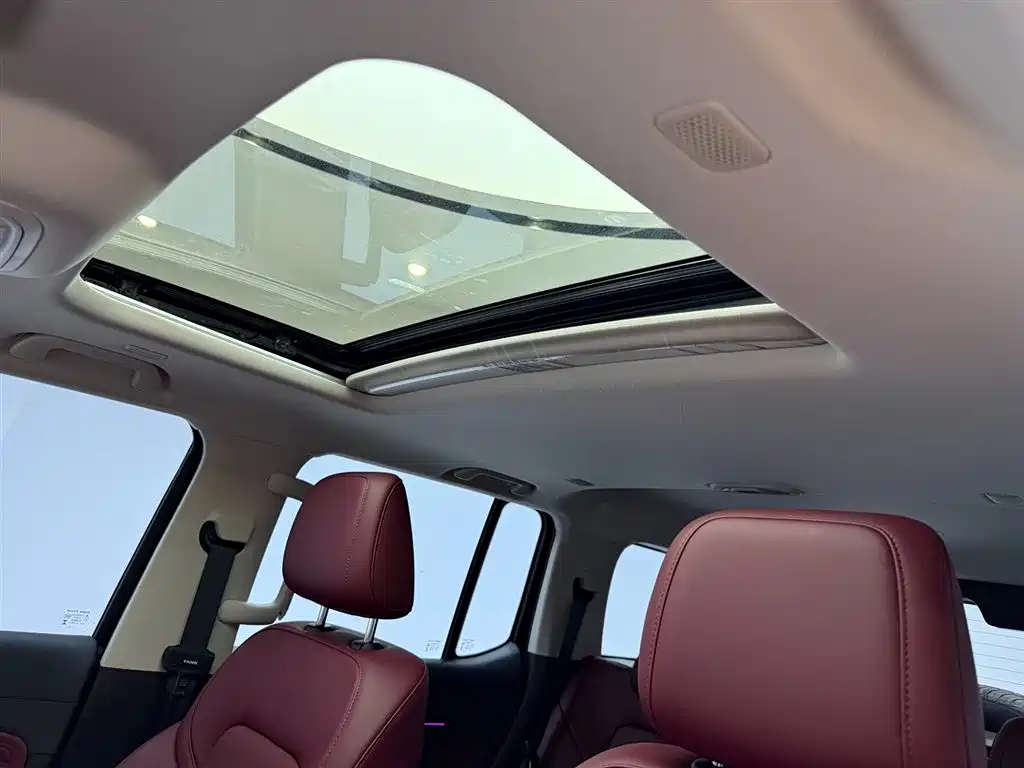 Tank 300 New Energy 2026 — фото 13