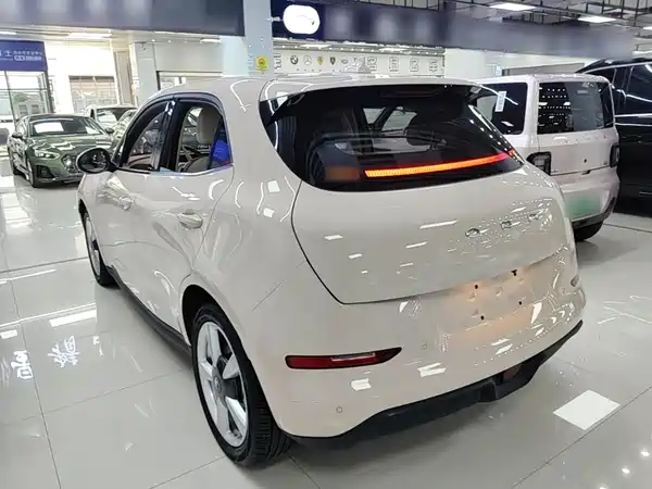 Ora Good Cat 2024
