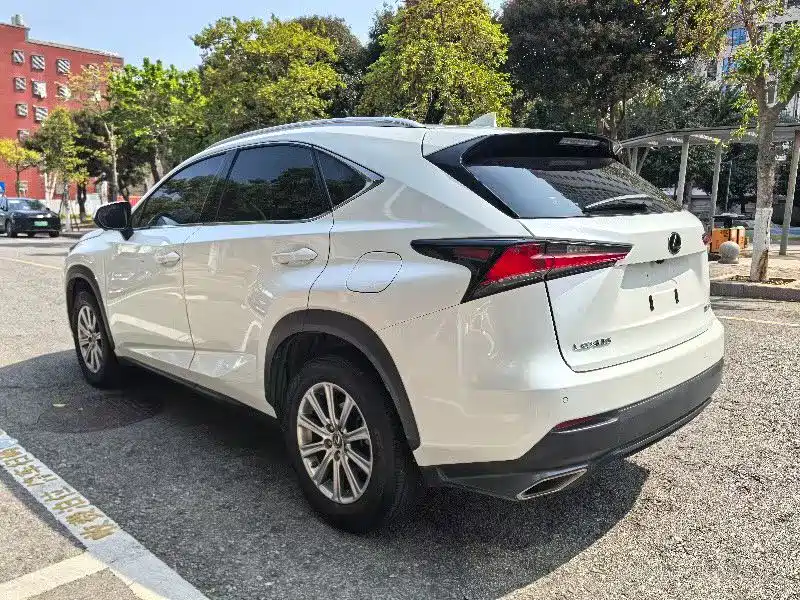 Lexus NX 2019 — фото 9