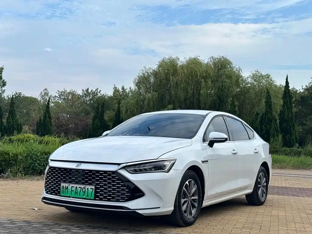 BYD Qin PLUS 2024 — фото 1