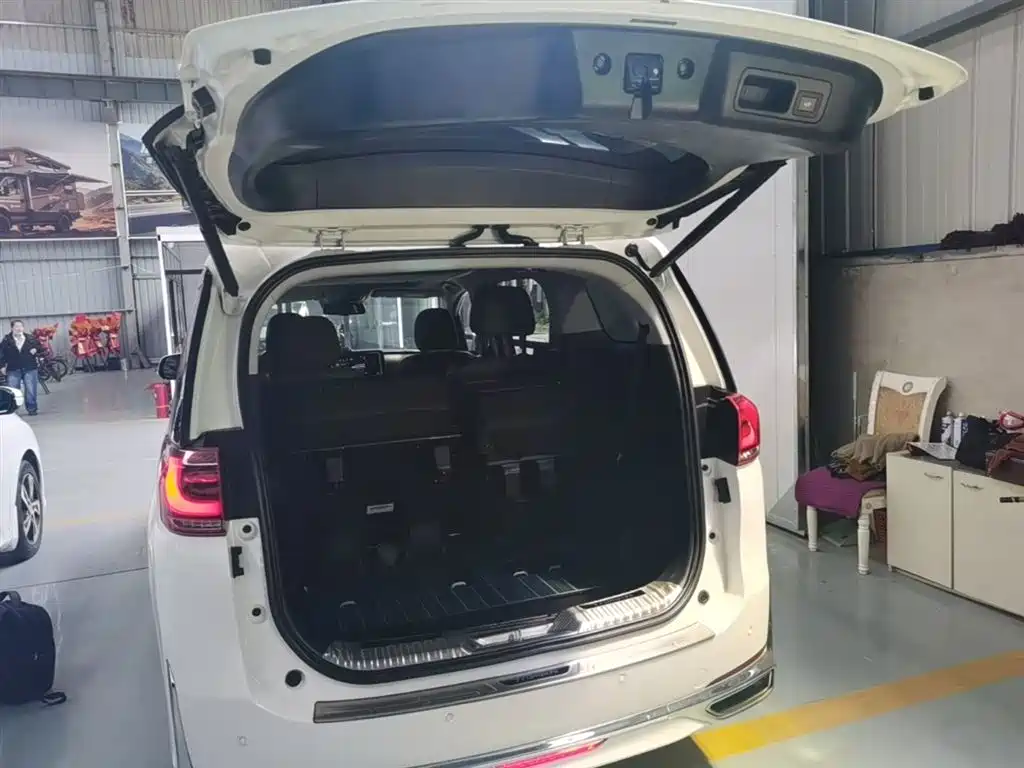 GAC Motor Trumpchi M8 2021 — фото 19