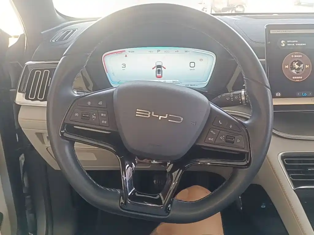 BYD Song PLUS New Energy 2024 — фото 11